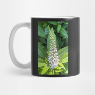 Forest Bathing with Tender Nature Mug